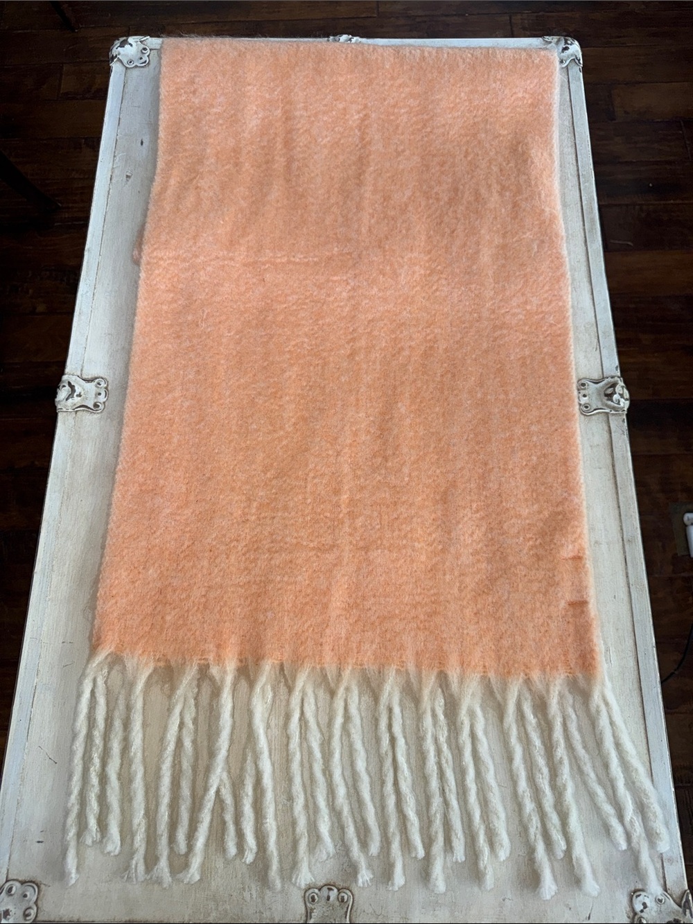Free People Peach and Cream Fuzzy Fringe Scarf